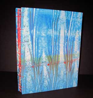 Blue Book #1